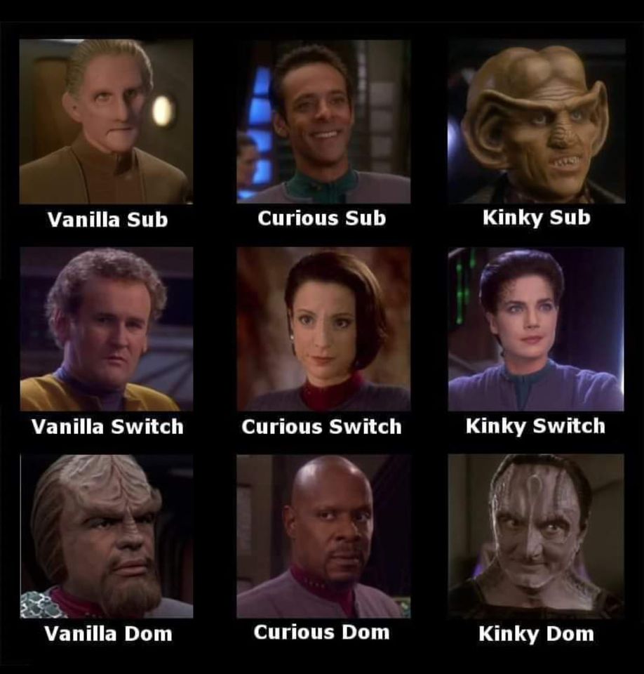 The meme is a split-screen image featuring two characters from the Star Trek franchise. On the left is a character with a more "straight-laced" and "serious" expression, while on the right is a character with a more "frivolous" and "playful" expression. The text "In Star Trek: The Next Generation, there are two types of people" appears above the split-screen image, and "The Straight Laced" and "The Frivolous" are written below each character.